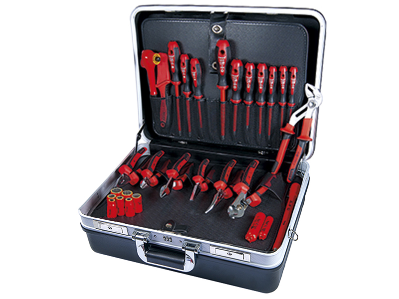 EV DELUX SERVICE KIT